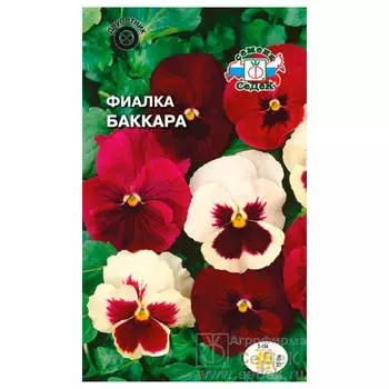 Цветы фиалка баккара витрока смесь 0,1г седек
