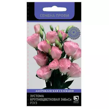 Цветы эустома крупноцветковая эйбиси роуз 10 шт поиск