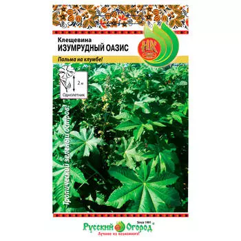 Цветы клещевина изумрудный оазис 5 шт р/о 702737
