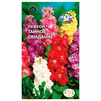 Цветы левкой маттиола тайное свидание карликовая смесь 0,1г седек