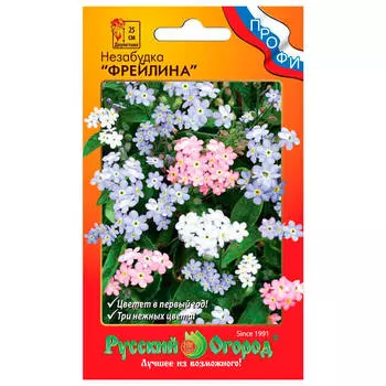 Цветы незабудка фрейлина 5 шт р/о 783207