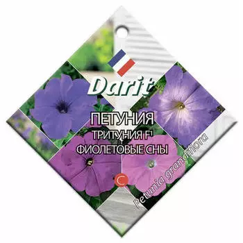 Цветы петуния тритуния f1 фиолетовые сны 10 шт дарит однолетние