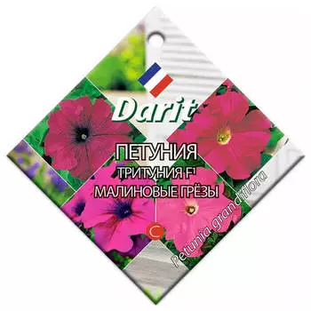 Цветы петуния тритуния f1 малиновые грезы 10 шт дарит однолетние