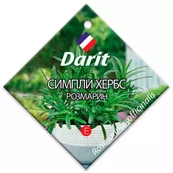 Цветы симпли хербс розмарин 5 шт дарит