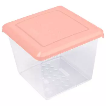 Емкость для хранения продуктов 1л Pattern Квадратная пудровый pt1097/кпд-20