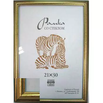 Фоторамка Зебра пластиковая 21х30см золотой рз 3904