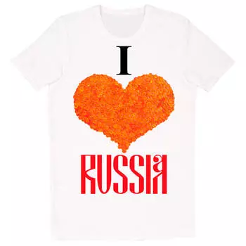 Футболка мужская с принтом микс р.46-54 е 1