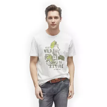 футболка Tom Tailor / муж / blanc de blanc white / 99 % Хлопок, 1 % Вискоза / XXS