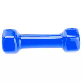 Гантель Bradex обрезиненная 2кг синий sf 0162