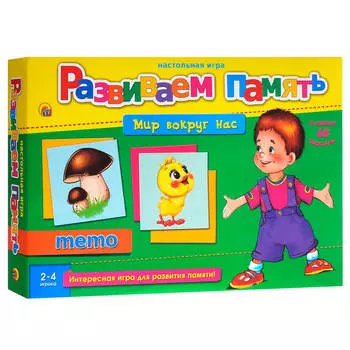 Игра настольная Рыжий Кот развиваем память мир вокруг нас ин-2058