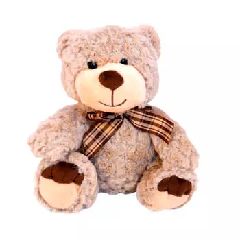 Игрушка мягкая Мишка Федя 22см