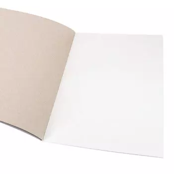 Картон белый Проф-Пресс 8л а4 2 гуся 08-7463 08-7463