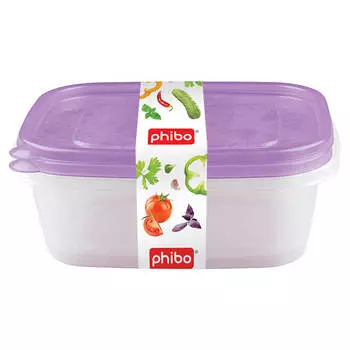 Комплект контейнеров арт-декор 1,25л 2 шт бытпласт 4311543