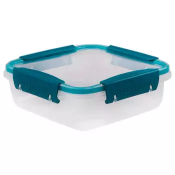 Контейнер 0,8 Bright бабочка герметичный 4378306