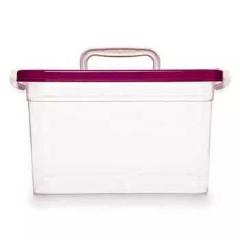 Контейнер для хранения 6,5л Полимербыт 310*200*180