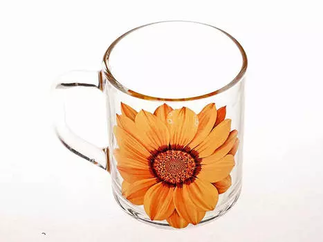 Кружка Green Tea георгин 200мл с1335 1/2