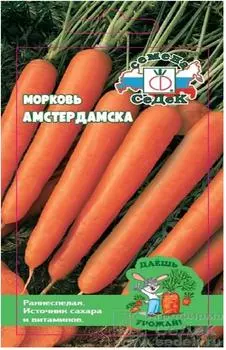 Морковь амстердамска 0,2г даёшь урожай
