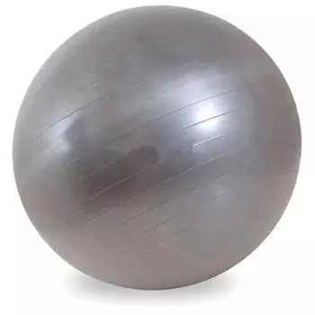 Мяч гимнастический 65см серебристый jb0206573