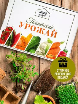 Набор House Store гигантский размер 32*22*10см