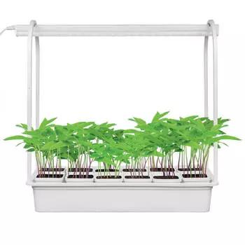 Набор минисад Uniel светильник светодиодный для растений+12кашпо+подставка ULT-p34-10w sple