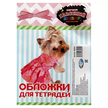 Набор обложек для тетрадей Европа Классный выбор 10шт 35х21см для девочек