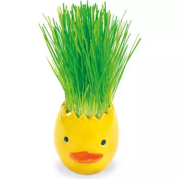 Набор пасхальный пшеничка из яичка