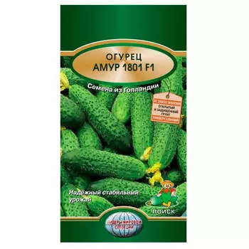 Огурец Амур 1801 f1 10шт Поиск