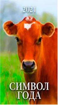 Календарь настенный перекидной 2021 год 170*250 символ года 1