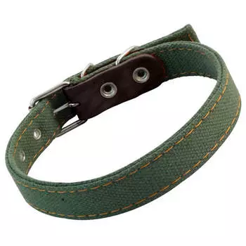 Ошейник брезентовый 25 мм двойной Гамма