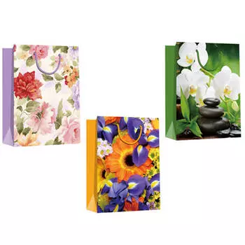 Пакет блеск средний 26*32см СанВест