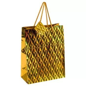 Пакет голография 26*32см ассорти СанВест