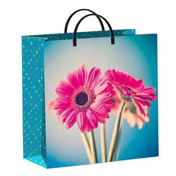 Пакет мягкий пластик большой 32*42см СанВест