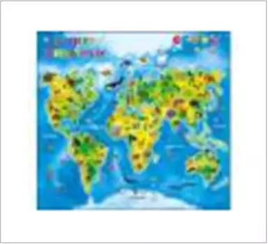 Плакат развивающий рыжий кот в мире животных зп-0545/рк