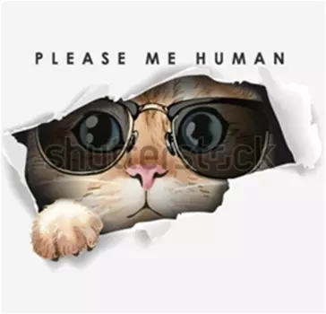 Подушка интерьерная 40*40 см коты вид 13