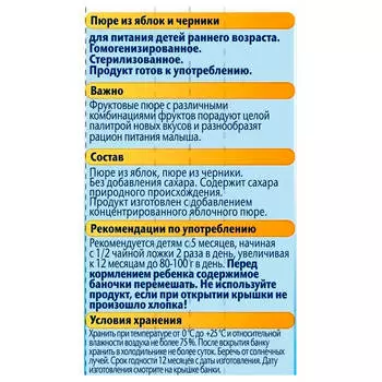 Пюре ФрутоНяня 100г яблоко черника с 5 месяцев