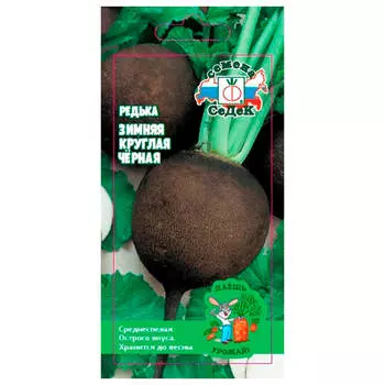 Редька зимняя круглая черная 1г даёшь урожай