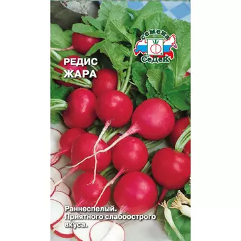 Редис жара 3г седек