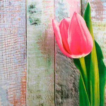 Салфетки Home Collection 20шт 33*33см 3 слоя тюльпаны