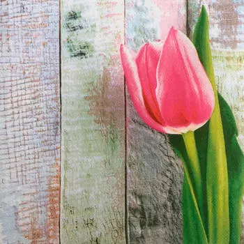 Салфетки букет де Люкс 20шт 33х33см 2 слоя тюльпаны