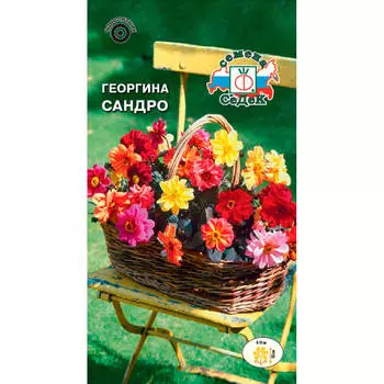 Семена цветка Георгина Сандро