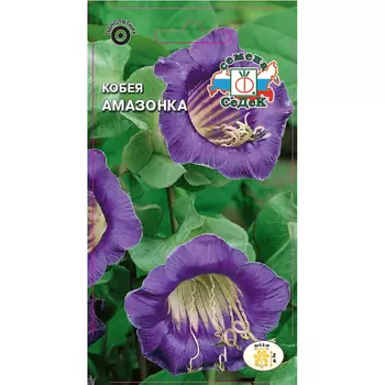 Семена цветка Кобея Амазонка лазающая фиолетовая 0,3г