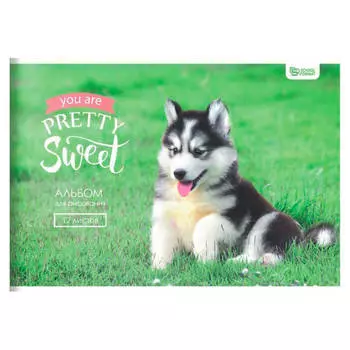 Альбом для рисования скулформат 12л а4 забавные щенки ал12-зщ
