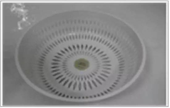 Сухарница 26*26*8 см Absolut Home белая 0097