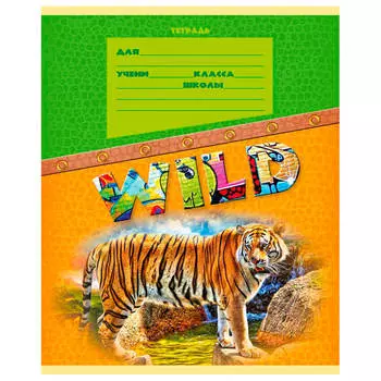 Тетрадь 12л линия проф-пресс с рисунком в ассортименте 89832