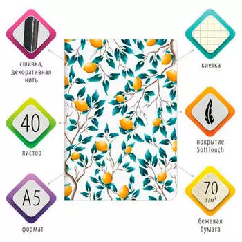 Тетрадь 40л клетка Brauberg лимоны a5 403771