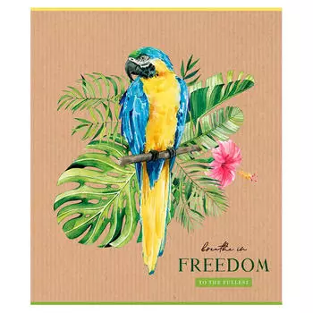 Тетрадь 48 л клетка артспейс рисунки суперэконом а5 332781