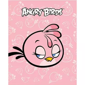 Тетрадь 48л энгри бердс