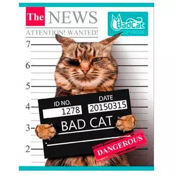 Тетрадь 48л БиДжи ассорти