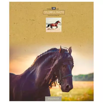 Тетрадь 48л клетка проф-пресс крафт-дизайн 48-0661