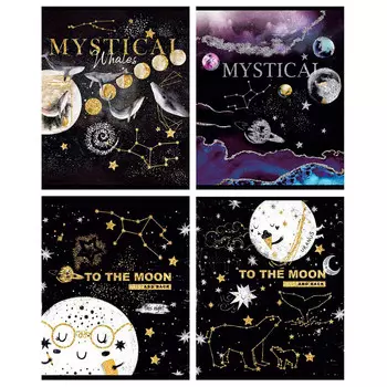 Тетрадь 60 л клетка биджи на луну тиснение голографическое фольгой а5